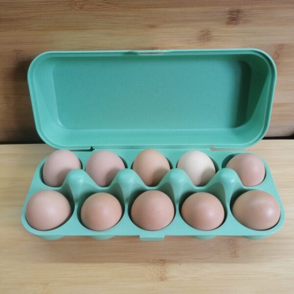 boîte 10 œufs lavable verte remplie