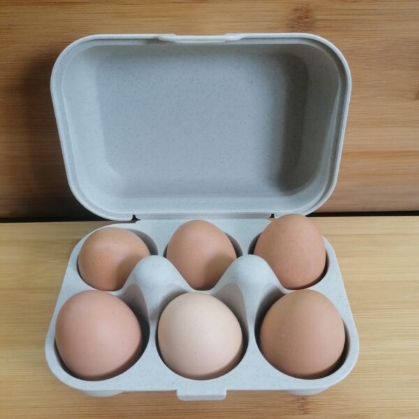 boîte 6 œufs lavable beige remplie